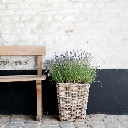 Casa rural Cour 8 Lofts Maastricht